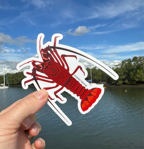 Sticker - Crayfish Rock Lobster