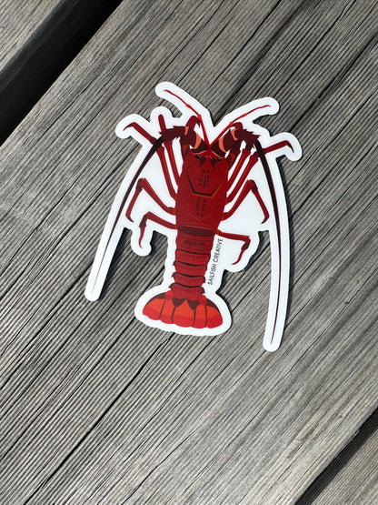 Sticker - Crayfish Rock Lobster