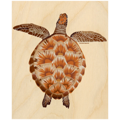 Wood Wall Art - Juvenile Green Turtle