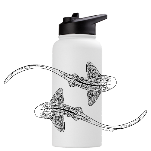 Leopard Shark Line Art - Stainless Steel Water Bottle