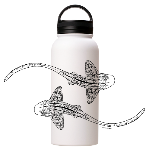 Leopard Shark Line Art - Stainless Steel Water Bottle