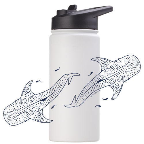 Whale Sharks Line Art - Stainless Steel Water Bottle