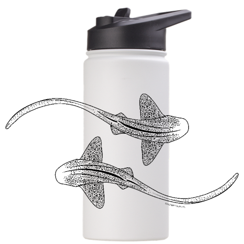 Leopard Shark Line Art - Stainless Steel Water Bottle