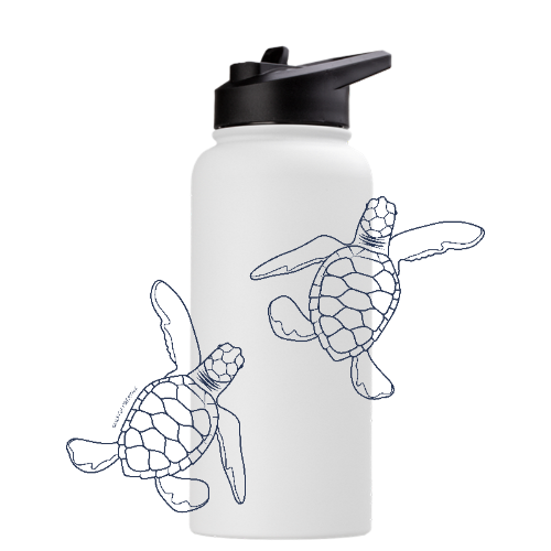 Baby Turtle Hatchlings Line Art - Stainless Steel Water Bottle