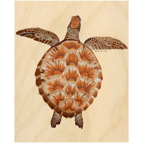 Wood Wall Art - Juvenile Green Turtle