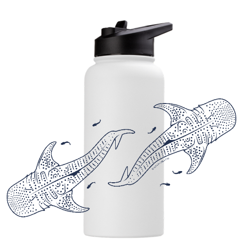 Whale Sharks Line Art - Stainless Steel Water Bottle