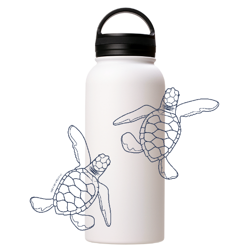 Baby Turtle Hatchlings Line Art - Stainless Steel Water Bottle