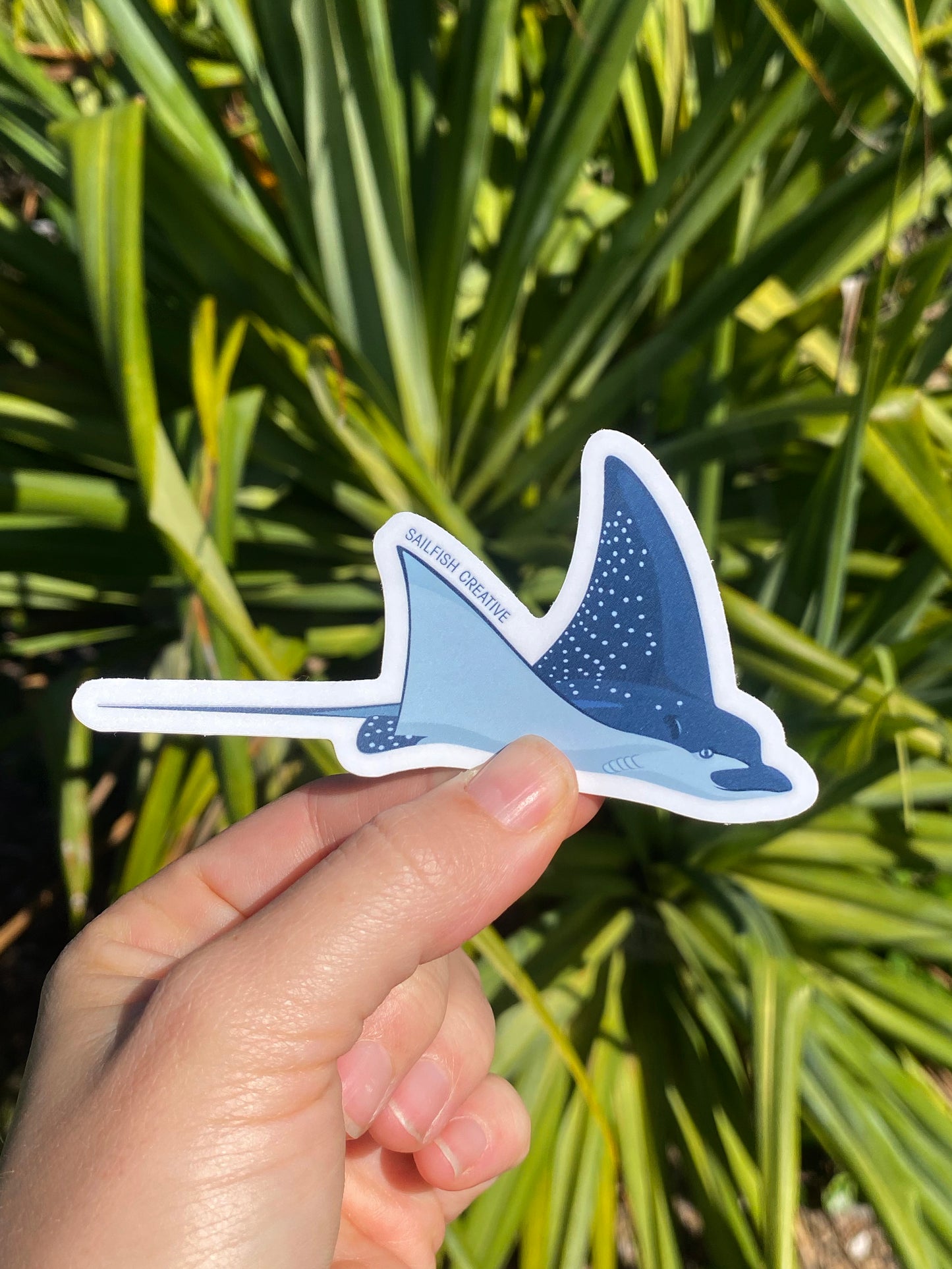 Sticker - Eagle Ray