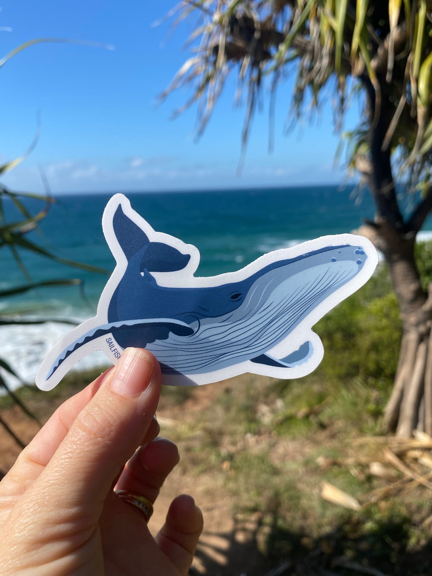 Sticker - Humpback Whale