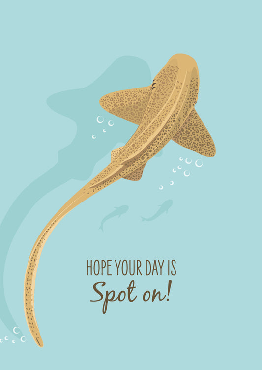 Other Card - Leopard Shark